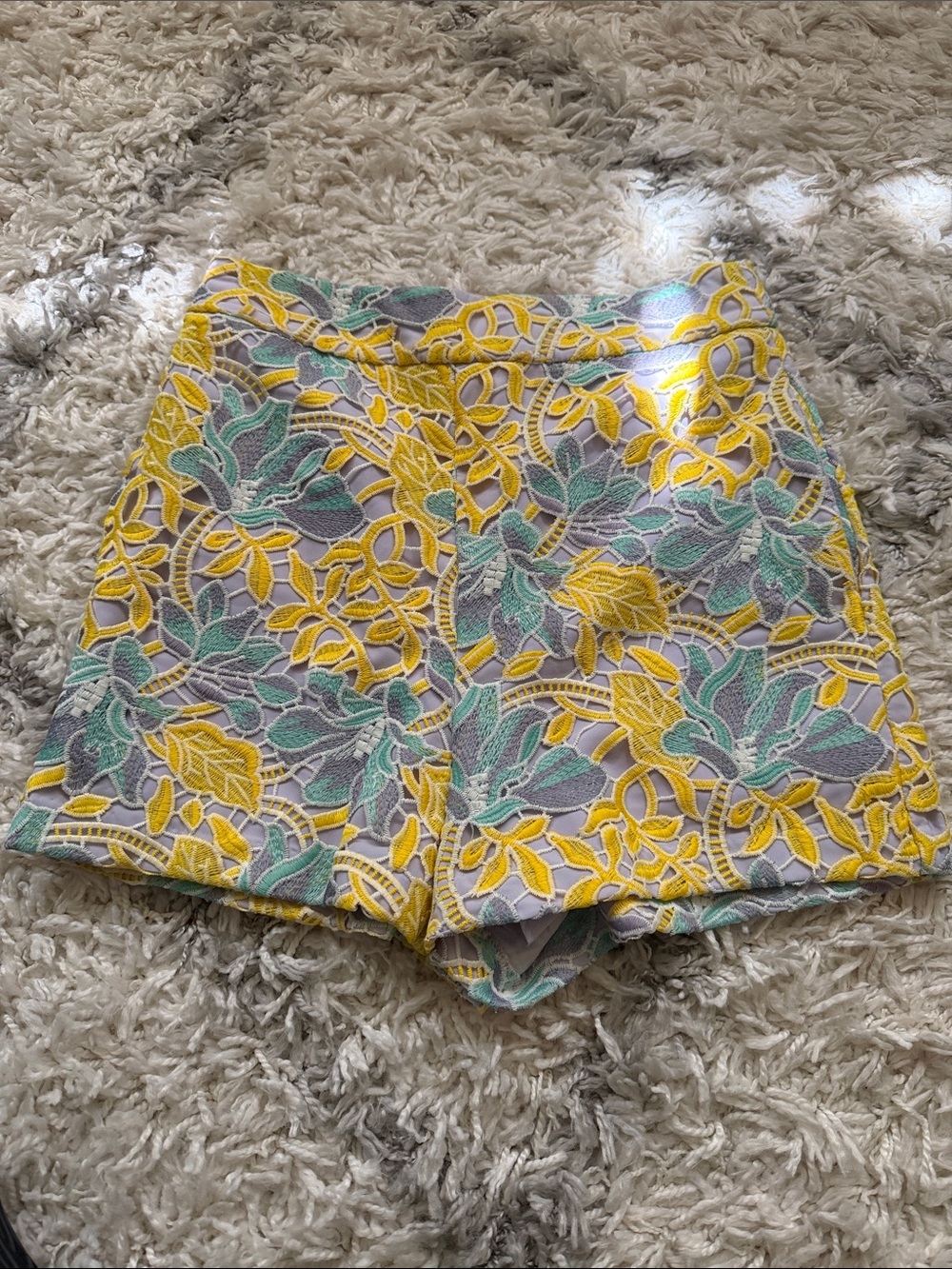 Anthropology Hutch Lace Pastel Yellow Blue Floral Print Shorts Size 6